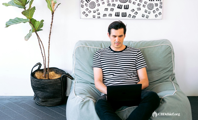 How to create a CBD Startup Business in 2024